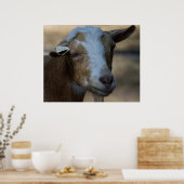 Billy Poster (Keuken)