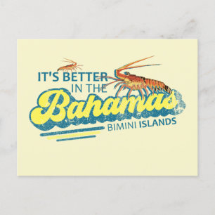 Bimini Island Bahama's Briefkaart Vakantie Cruise