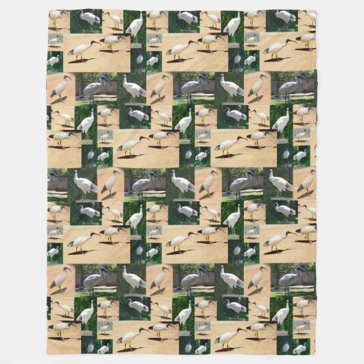 Bin Chicken Chronicles: een Ibis fotocollage Fleece Deken (Voorkant)
