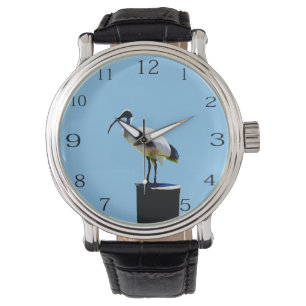 Bin Chicken, (ibis) olieverf, horloge