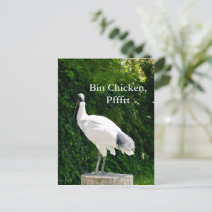 Bin Chicken Pfftt (Ibis) Briefkaart