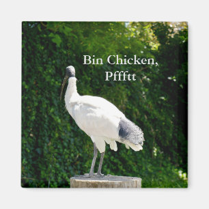 Bin Chicken Pfftt (Ibis) Magnet Magneet