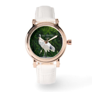 Bin Chicken PFTT, bekend als Ibis, Horloge