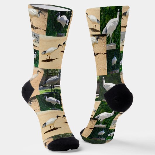 Bin Chicken Photo Collage, Crew-Sokken Sokken (Gebogen)