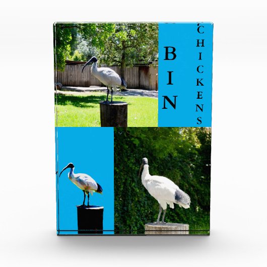 Bin Poulets (Ibis) Bloc Photo (Devant)