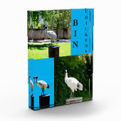 Bin Poulets (Ibis) Bloc Photo (Gauche)