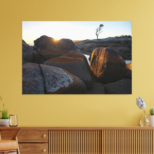 Binalong Bay, Bay of Fires, Tasmanië, Zonsopgang Canvas Afdruk (Insitu (Woonkamer))