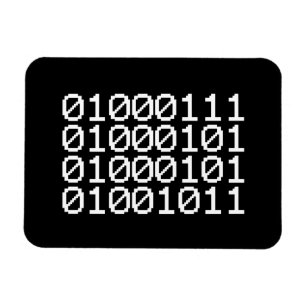 BINARY GEEK MAGNEET