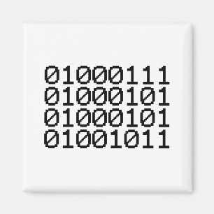 BINARY GEEK MAGNEET