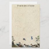 Bindkolk van vogels — Papier voor handgemaakt papi (Voorkant / Achterkant)