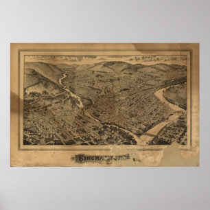Binghamton New York 1882 Antiek Panorama Poster
