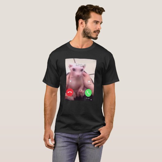 Bingus noemt mijn geliefde haarloze sfinx kat 1 t-shirt (Voorkant volledig)