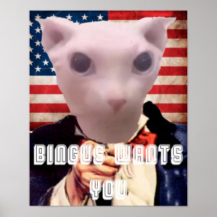 BINGUS WIL JE POSTER