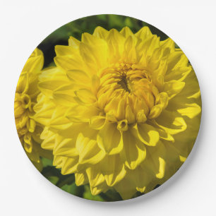 Binnen de Dahlia Garden 3 Papieren Bordje