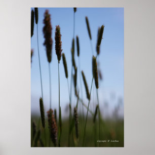 Binnen de Hay Poster