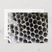 Binnen de Hive Briefkaart (Voorkant / Achterkant)