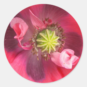 Binnen de maaltijd ronde sticker