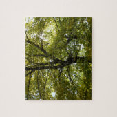 Binnen een gele esdoorn herfst legpuzzel (Verticaal)
