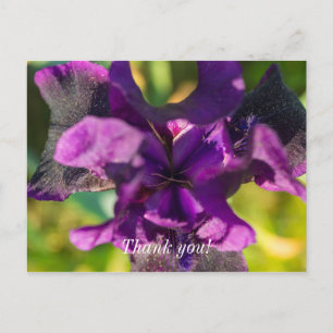 Binnen een Iris Dank je wel Ansichtkaart Briefkaart