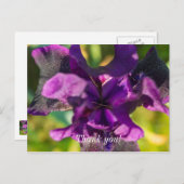 Binnen een Iris Hartelijk dank Briefkaart (Voorkant / Achterkant)