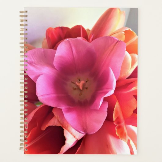 Binnen een roze tulp planner (Voorkant)