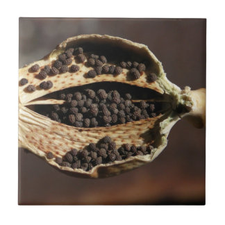 Binnen in een papaverbloem tegeltje