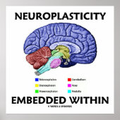 Binnen ingebed neuroplasticiteit (hersenanatomie) poster (Voorkant)