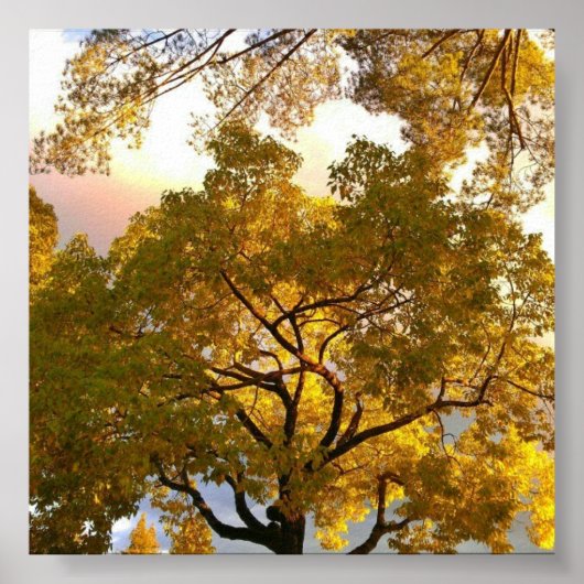 Binnen Poster (Voorkant)