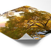 Binnen Poster (Hoek)