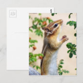 Binnen Reach - Chipmunk Briefkaart (Voorkant / Achterkant)