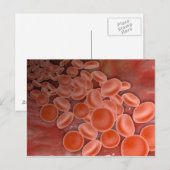 Binnen Uitzicht van de slagader met rode bloedcell Briefkaart (Voorkant / Achterkant)