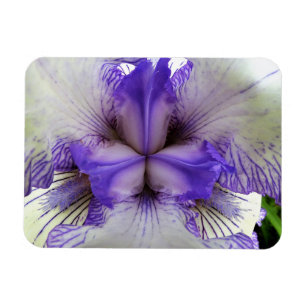 Binnen van een Iris Magneet