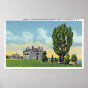 Binnenkant van Jesuit Chapel in het Oude Franse Ca Poster