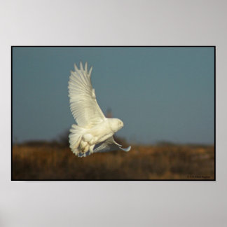 Binnenkomen voor aanlanding poster