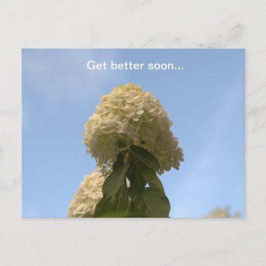 Binnenkort beter Limoen Hydrangea Briefkaart (Voorkant)