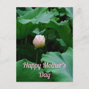 Binnenkort bloeien briefkaart