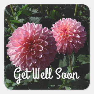 Binnenkort goed Stickers in Dahlia Valley Porcupin