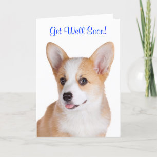 Binnenkort krijgt Pembroke Welsh Corgi Wenskaart Kaart