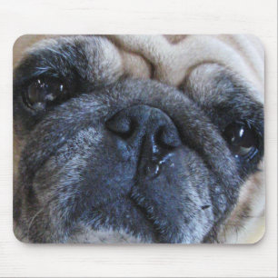 Binnenkort weer goed met ick Pug Dog Muismat