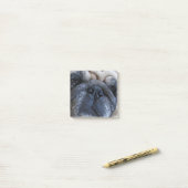 Binnenkort weer goed met ick Pug Dog Post-it® Notes (Op bureau)