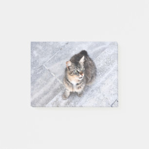 Binnenlands Kat Post-it® Notes