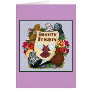 Binnenlandse vliegrol