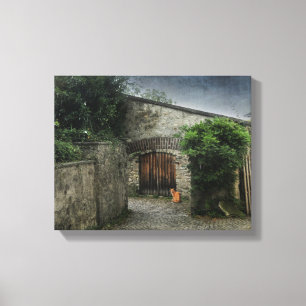 Binnenplaats Cat Canvas Afdruk