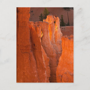 Binnenste gloed briefkaart