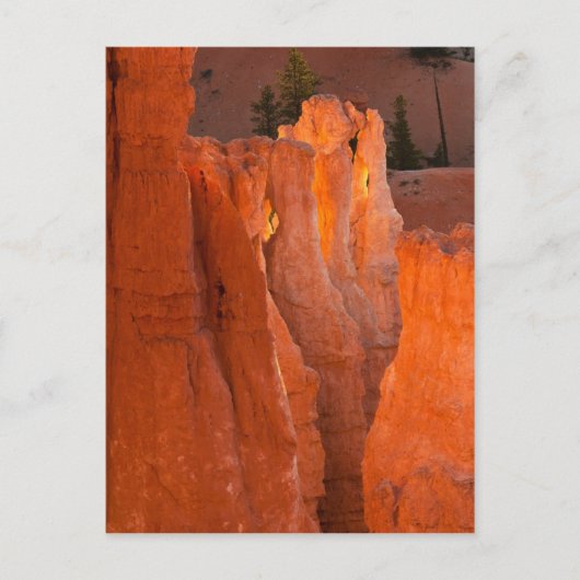 Binnenste gloed briefkaart (Voorkant)