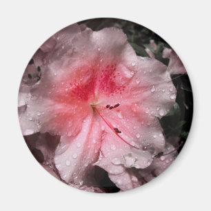 Binnenste gloedmagneet magneet