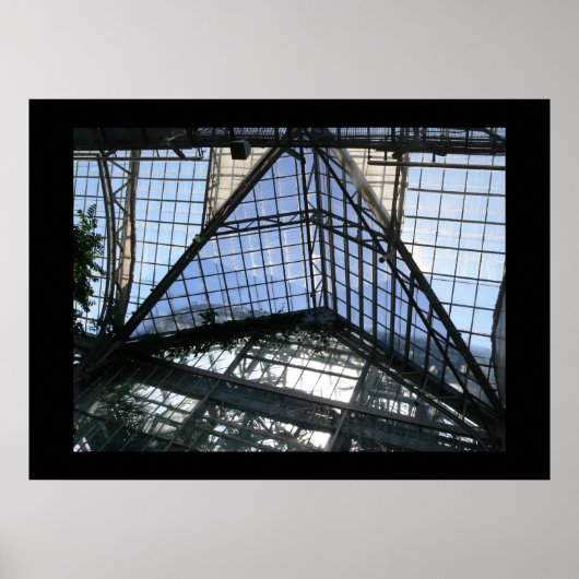 binnenuit (plafond van de kas) poster (Voorkant)