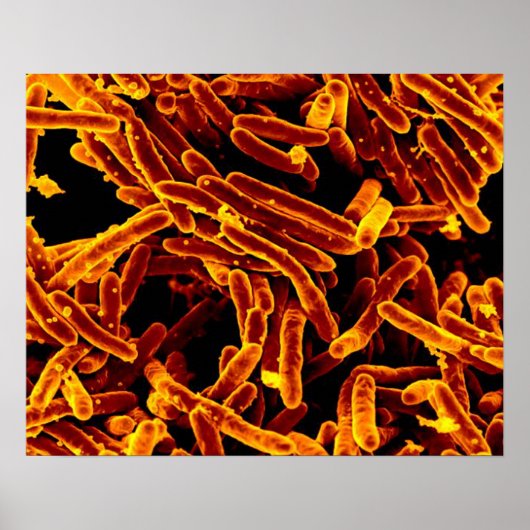biologie abstract poster canvas (Voorkant)