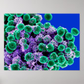 biologie abstract poster canvas (Voorkant)