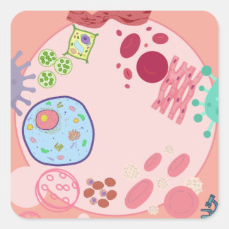 Biologie Cellen Sticker – Schattige Kleurrijke Cel